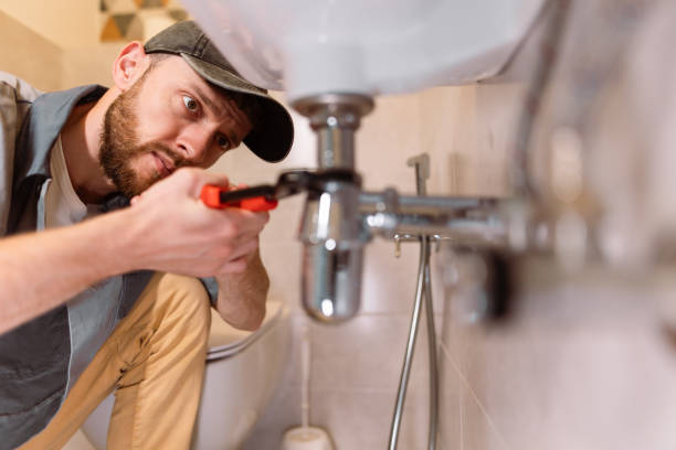 Best Plumbing Inspection Services  in Allegan, MI
