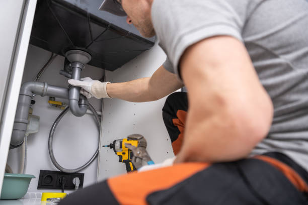 Best Plumbing Services Near Me  in Allegan, MI