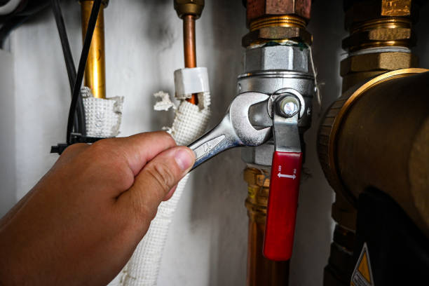 Best Hot Water Heater Installation  in Allegan, MI